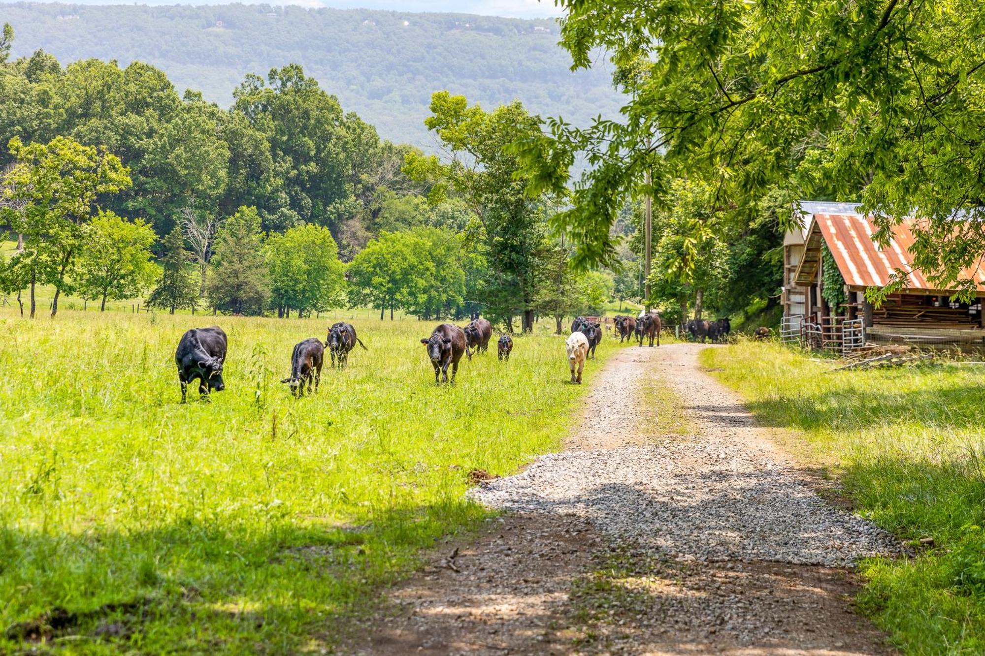 Quail Run Farm Pool Home Chattanooga Exteriér fotografie